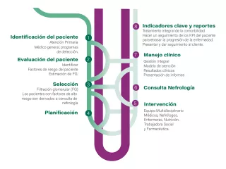 Renal Care Services - Proceso programa Nefroprotección