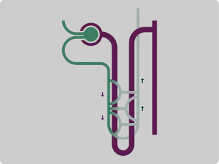 Renal Care Services - Preview video portafolio nefrona 